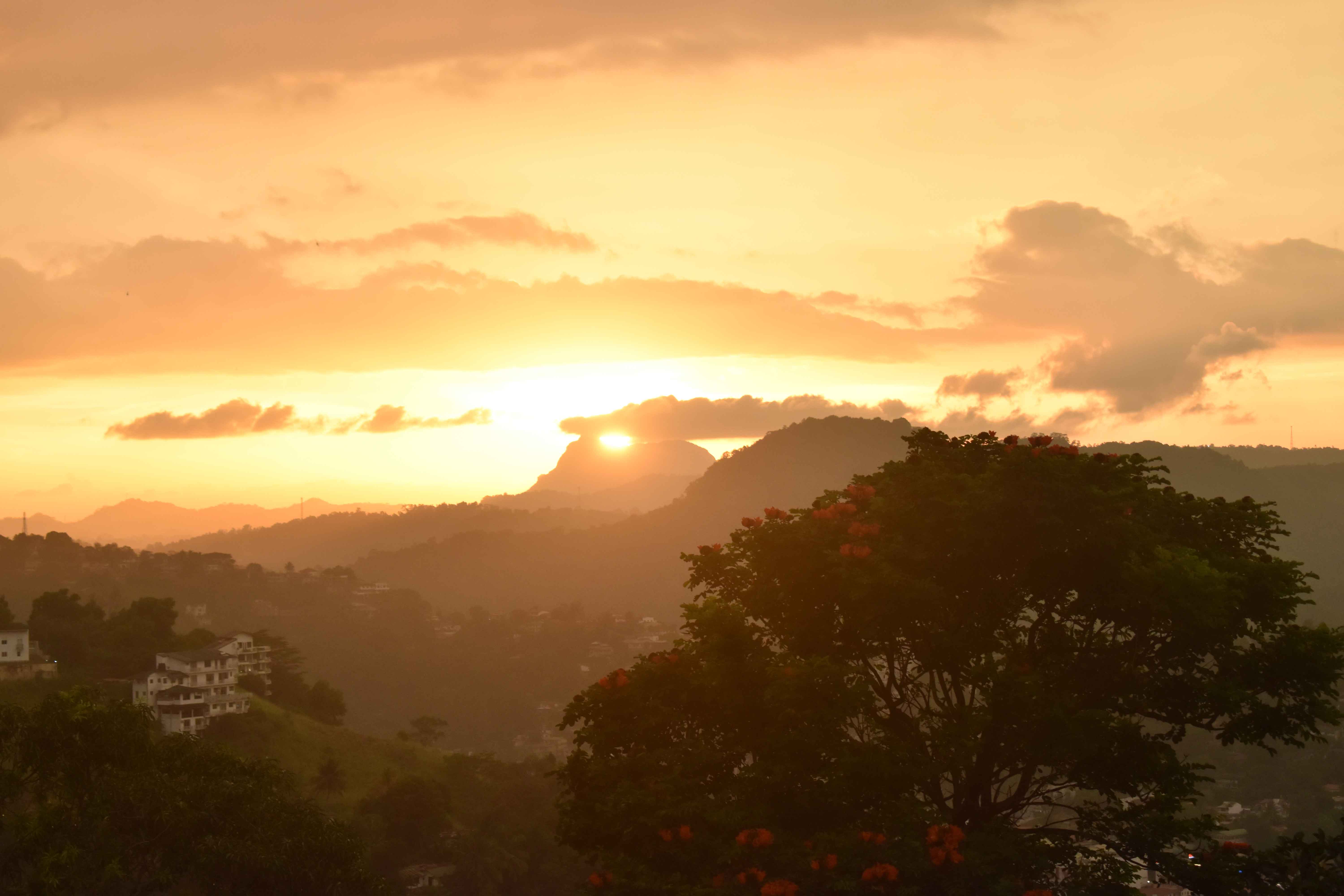 Sunset View